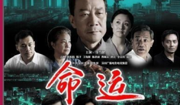 电视剧命运,命运交织的传奇人生