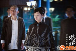 电视剧 秋蝉,谍影重重，热血铸就忠诚传奇